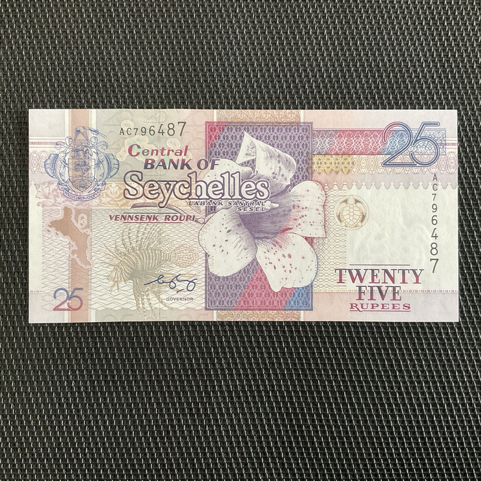 SEYCHELLES: 25 Roupies ND 1998/2008, Pick 37b, NEUF/UNC 💥