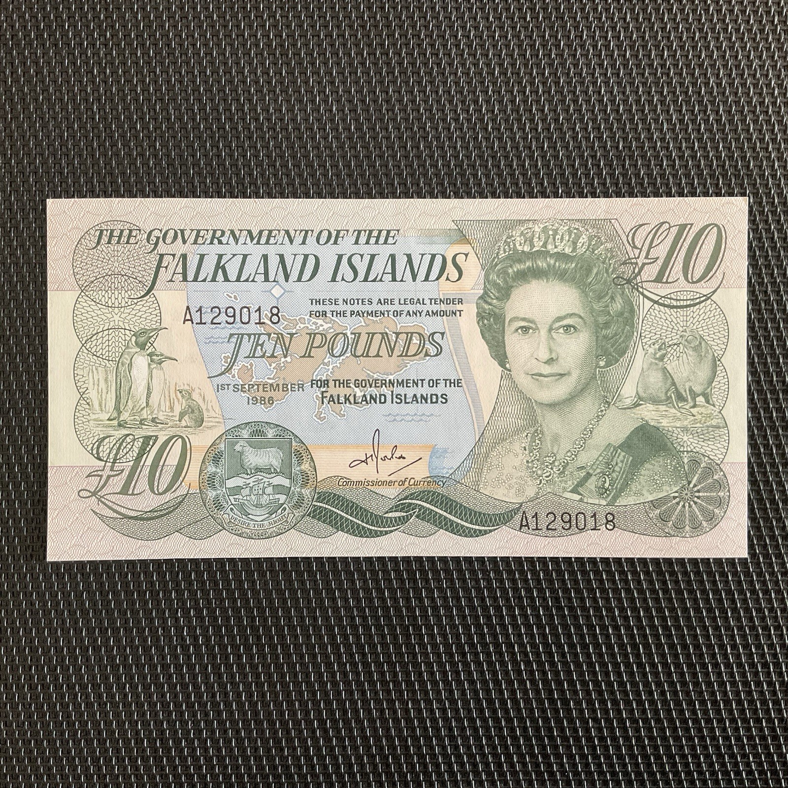 ILES FALKLAND: 10 Pounds 01/09/1986, Pick 14a, NEUF/UNC 💥